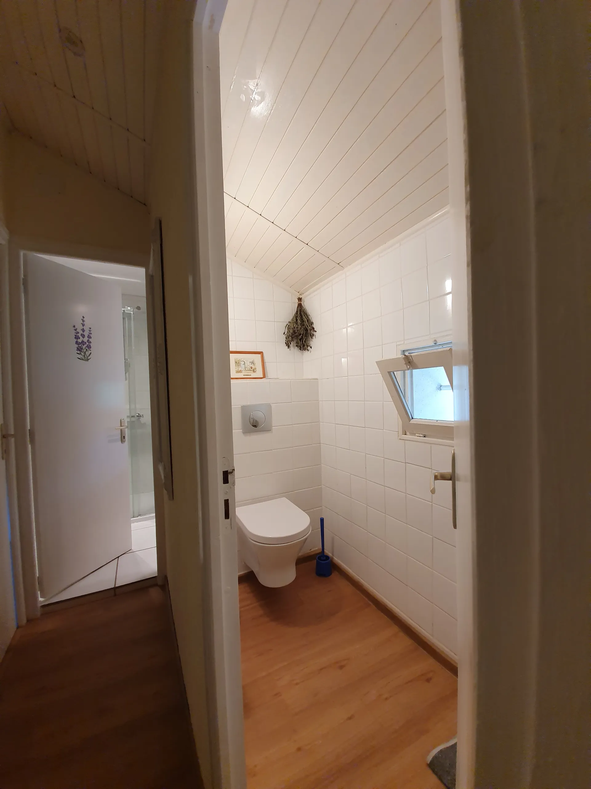 Separates WC